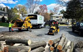Artificial Turf Installation in Manhasset, NY